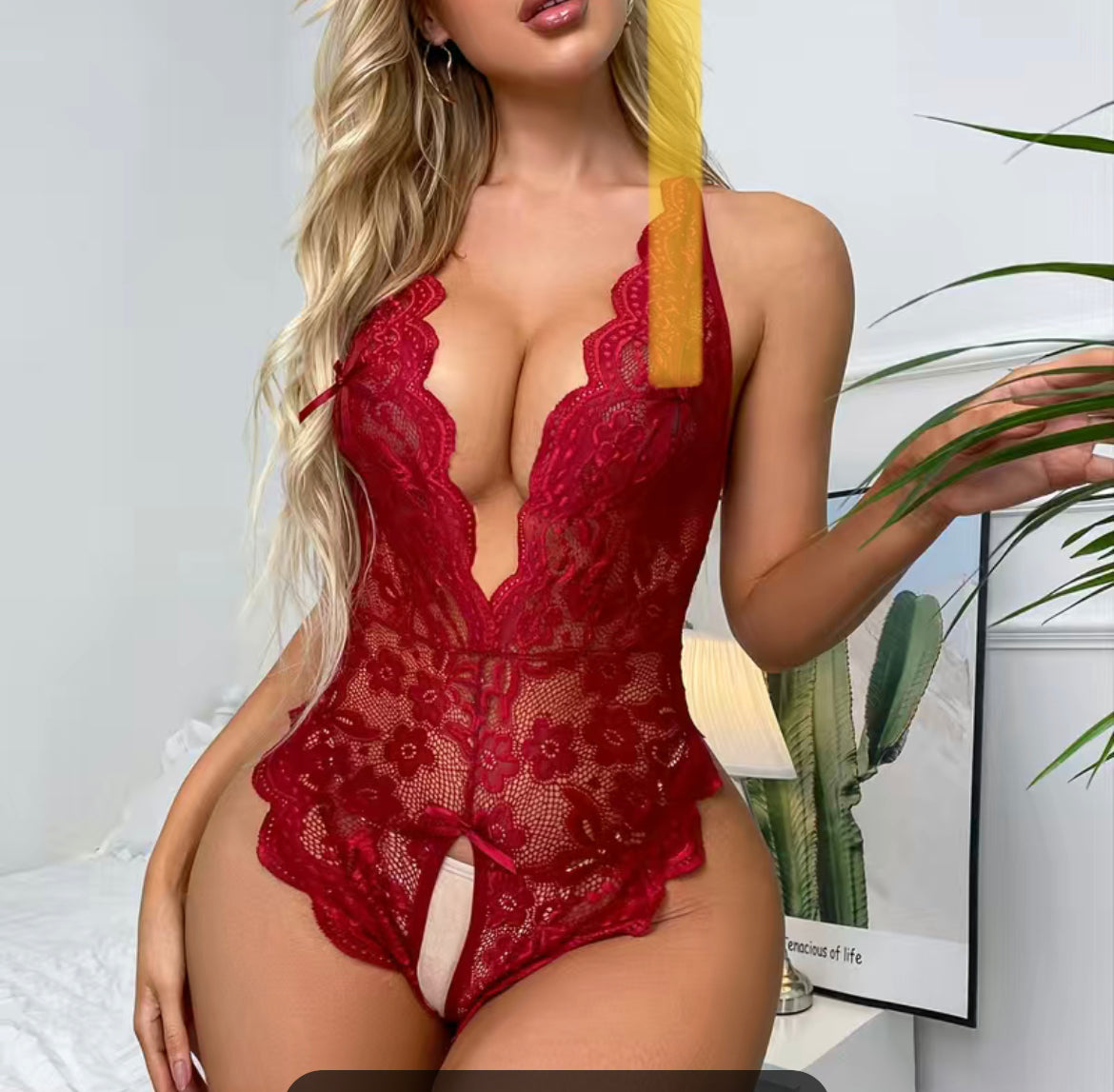 Lace Teddy Lingerie Bodysuit